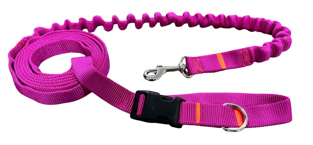 Dog Leash with Shock Absorber 380cm FUCHSIA Adjustable HandsFree Made in Poland