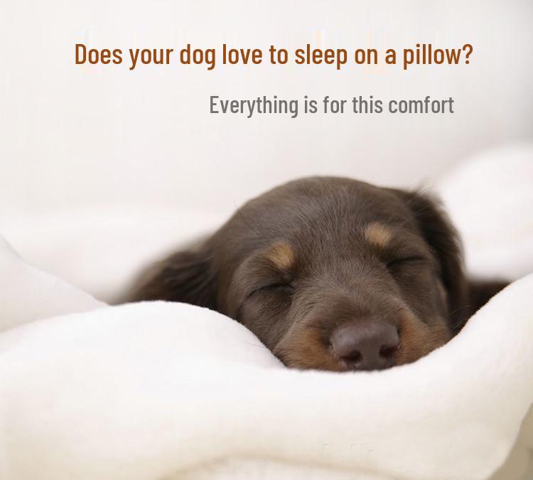 New Pet Mat Nest: Dog and Cat Bed