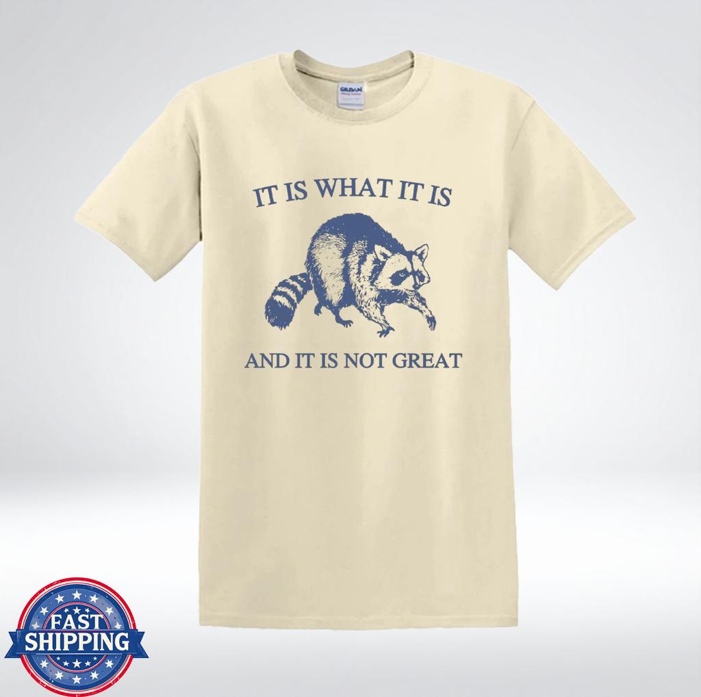 Es ist, wie es ist Waschbär Shirt Lustiger Sarkastischer Spruch Humor T-Shirt