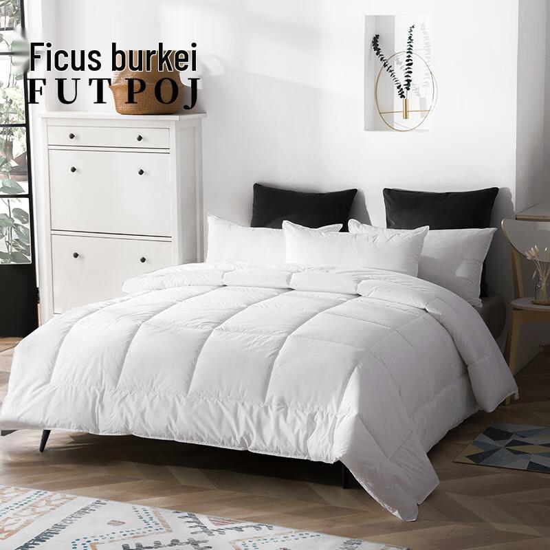 Yiyiai 40S Cotton & Feather Velvet Quilt