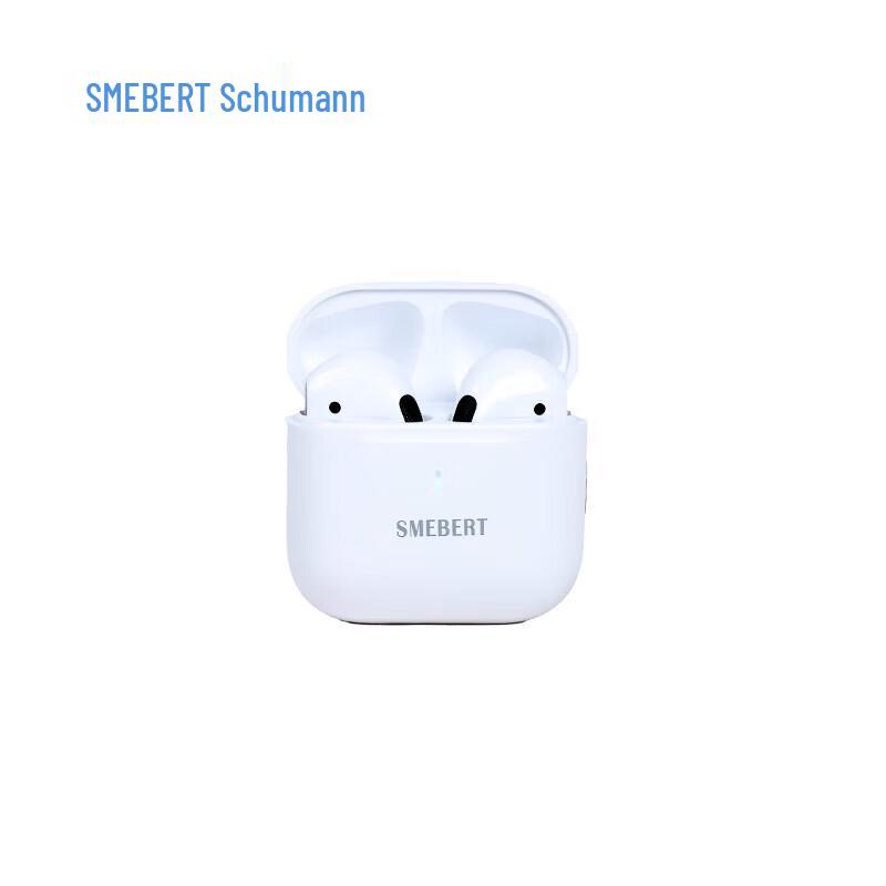 SMEBERT X1 Wireless Bluetooth Noise-Cancelling Earbuds
