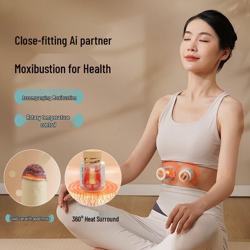 HEZHENG Smokeless Moxibustion Waist Massager - Family Gift Box 2