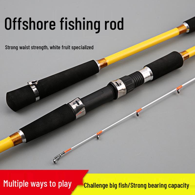 Ginkgo Offshore Small Boat Jigging and Casting Fishing Rod 40#