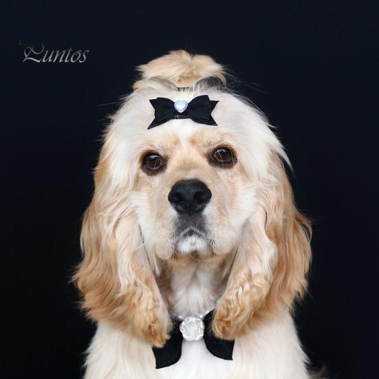 4Pcs Pet Hair Clip Love Faux Pearl Bow Decoration Small Puppy Cat Hair Clip Pet Hair Accessories for Daily Wear Photos