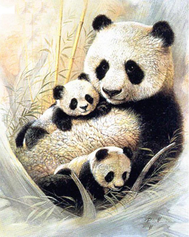 

5D DIY Алмазная картина Серая сцена Красный автомобиль Подарок ручной работы Алмазная вышивка Животный Снежный пейзаж Набор для вышивки крестом Рукоделие Декор для дома Full Square 20X30CM светло-синий