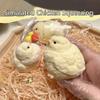 1Pc Silicone Hen Chicks Adult Kids Birthday Gift Toy Handmade Squishy Plush Simulation Yellow Chicken Squeezing Pinching Toys