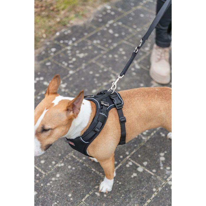 Harnais Pour Chien - TRIXIE - Premium FlexMesh - Noir - Grand - Extérieur
