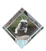 French Bulldog, Frenchie – Crystal Cube with a Photo, Photo of a Horse In Crystal |