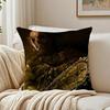 Movie Horror The TTexas Chain Saw MMassacre Cushion Cover Pillowcase Antidustmite Living Room Sofa Decor Cushion Room