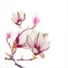 JUYA Quilling Kit 1200 sheets of paper 60 kinds of gradation colors Length 540mm Width 10mm