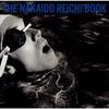 The Nakaido Reiichi BOOK