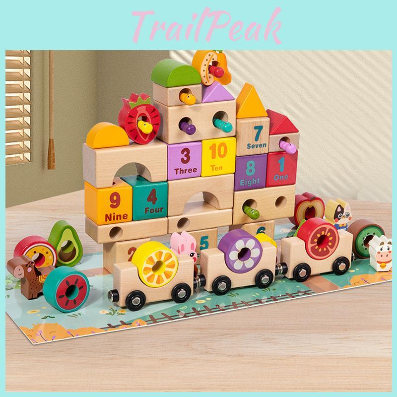 Educational Fruit Wooden Train Building Blocks For Digital English Cognition Toy