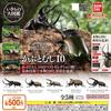 Gashapon Toys The Diversity Of Life On Earth Beetle 10 Capsule Toy Decoration Animal Model Creative Toys Gift
