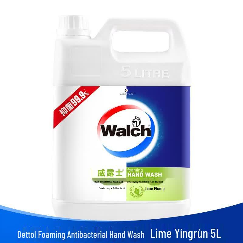 

Walch Foaming Antibacterial Hand Soap - Health Care