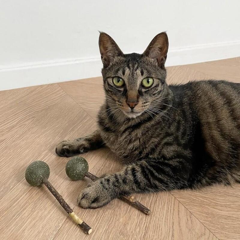 

Catnip Catnip Candy Sticks (2 pcs)