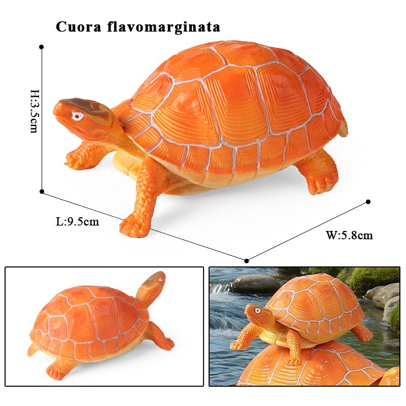 Oenux Sea Life Animals Model Leatherback Tortoise Turtle Growth Cycle Ocean Figurines Action Figures PVC Collection Kid Toy Gift