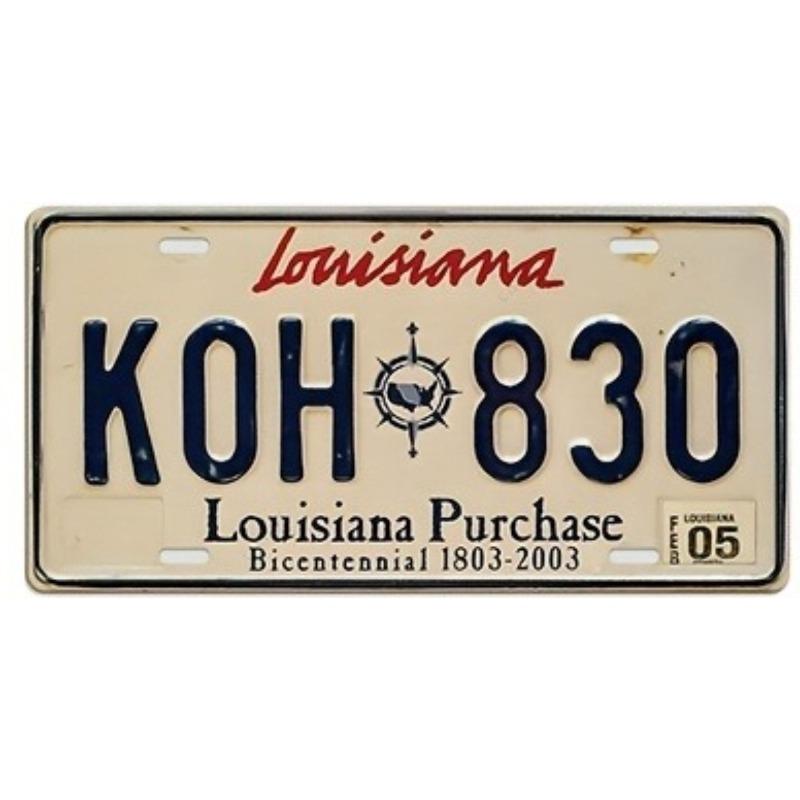 New York Souvenir License Plate, Metal Auto Decor 15x30cm