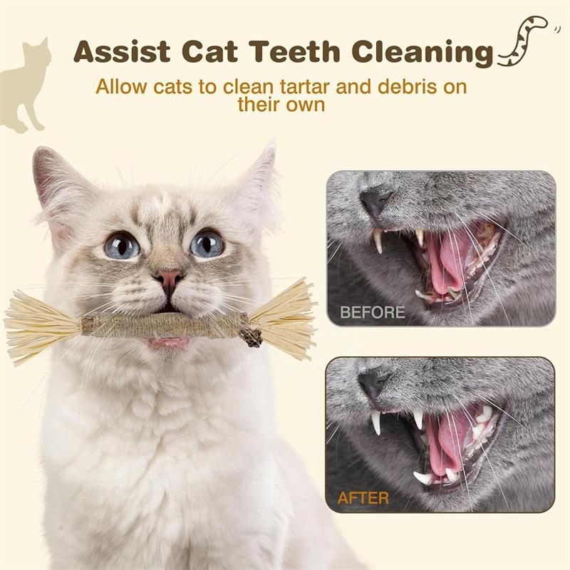 Cat Grinding Teeth Stick Wooden Polygonum Stick Bite Combination New Cat Toy Teeth Grinding Biting Stick Tooth Stain Removal Toy