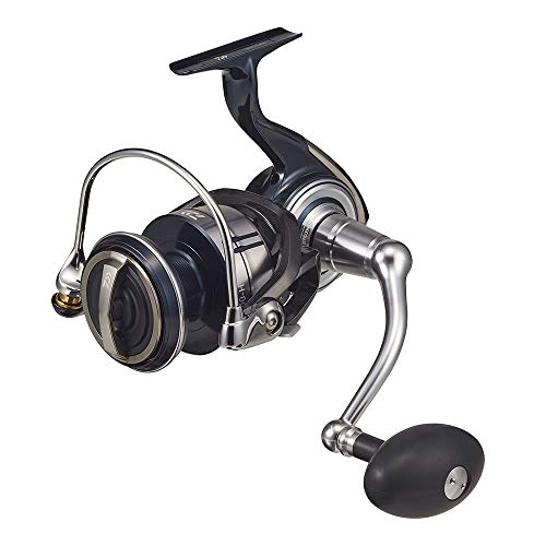 

Daiwa 21 Certate SW 8000-H