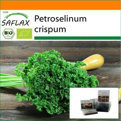 Garden in the Bag - Biologico - Prezzemolo arricciato al muschio - 800 semi - Con substrato in un sacchetto stand up adatto - Petroselinum Crispum