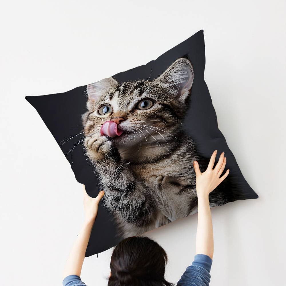 Cat Cute Kitten Stitch Lucky Dragon pillow cover sofa cushion cover home room decoration children gift