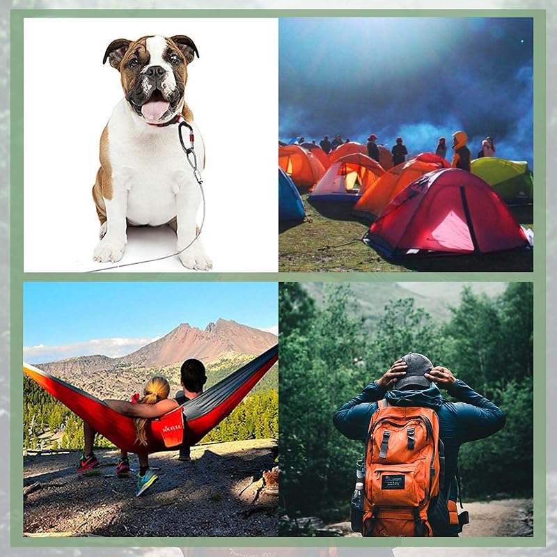 20pcs Carabiners S-shape, Carabiner Small, Small Fashionable Karahina Super Lightweight Multifunctional Keychain, Carabiner Hook Outdoor Equipment