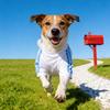 Pet T-shirt, Mesh Fabric, Comfortable And Breathable Dog Short Sleeves