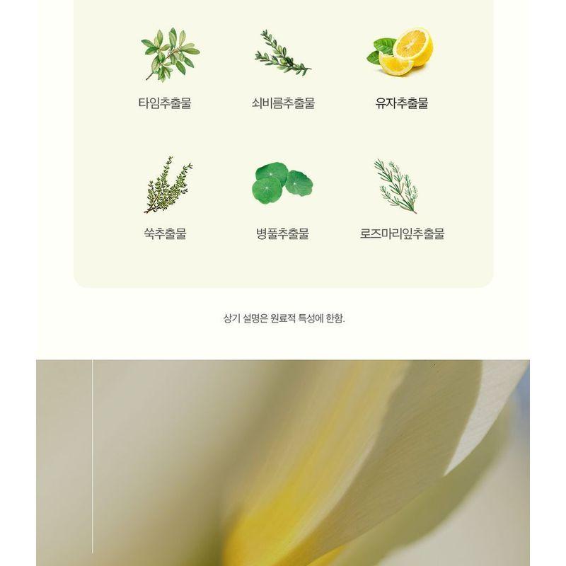 THE PURE LOTUS - Lotus Leaf Shampoo For Middle And Dry Scalp Jumbo