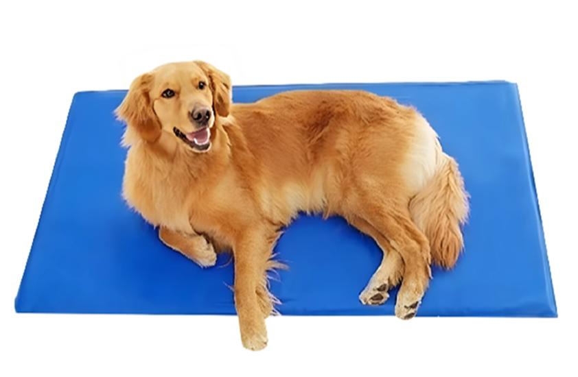 Gel COOLING Mat for DOG CAT Large Waterproof, Various Sizes!