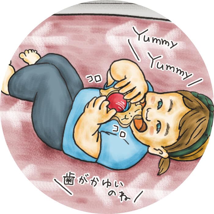 Kami Rabbit Wooden Japan Good Toy Toy Teething Pacifier Rolling Rattle Wooden Toy Baby Gift Educational Toy Car Pull Toy Ranking Baby Baby Rattle