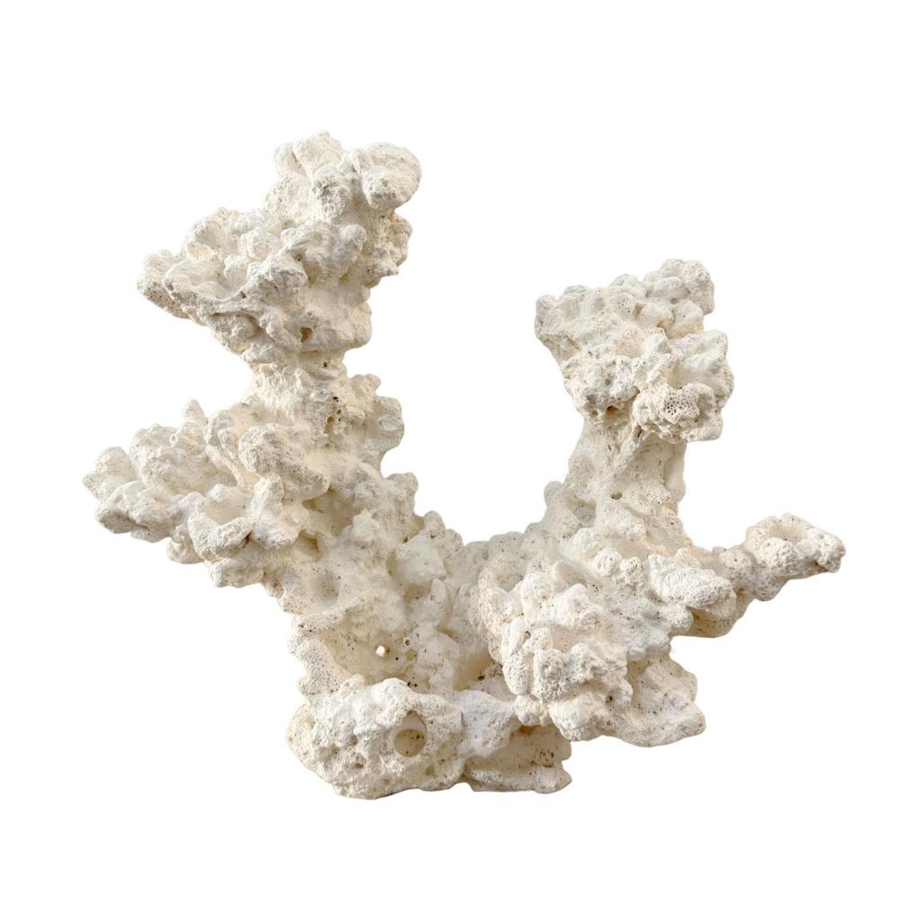 Nascondiglio per la Riproduzione dell'Acquario Ornamento Accessorio per il Paesaggio dell'Acquario Scultura Artigianato Statuetta Marina Statua Decorazione Nido Aquascaping