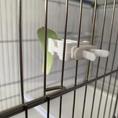 3 piezas de lindos soportes para comida de pájaros pequeños, pinzas para loros, frutas y verduras, dispositivo de alimentación con hueso de sepia, accesorios para jaulas de pájaros