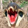 Halloween Animal Mask Snake Horror Mask Headgear Scary Prank Prop Party Horror Mask