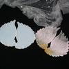 Angel Wings Silicone Molds Epoxy Resin Casting Molds for Jewelry Making Crafs DIY Pendant Necklace for Key Chain Decor