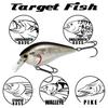LUCKY CRAFT LC 2.5 Silent Fishing Lure Crankbait (400 White