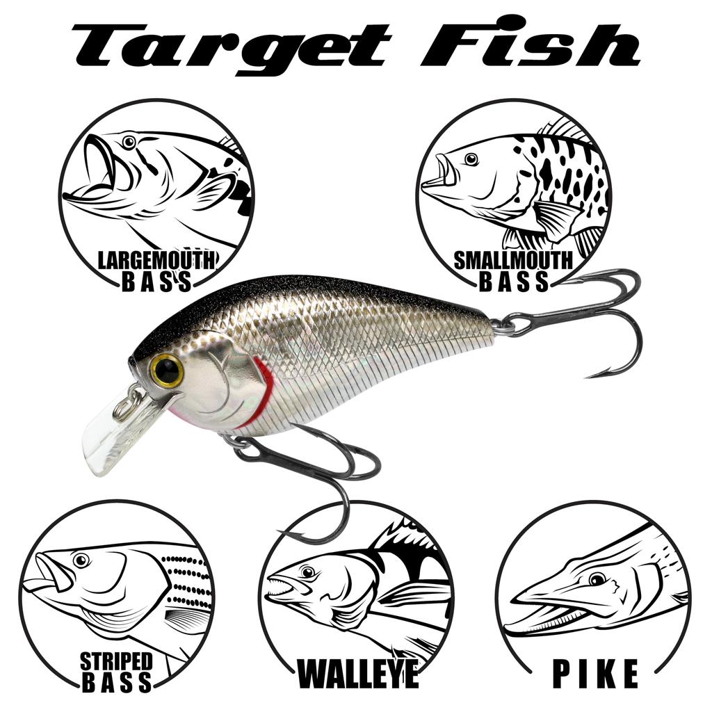 LUCKY CRAFT LC 2.5 Silent Fishing Lure Crankbait (400 White