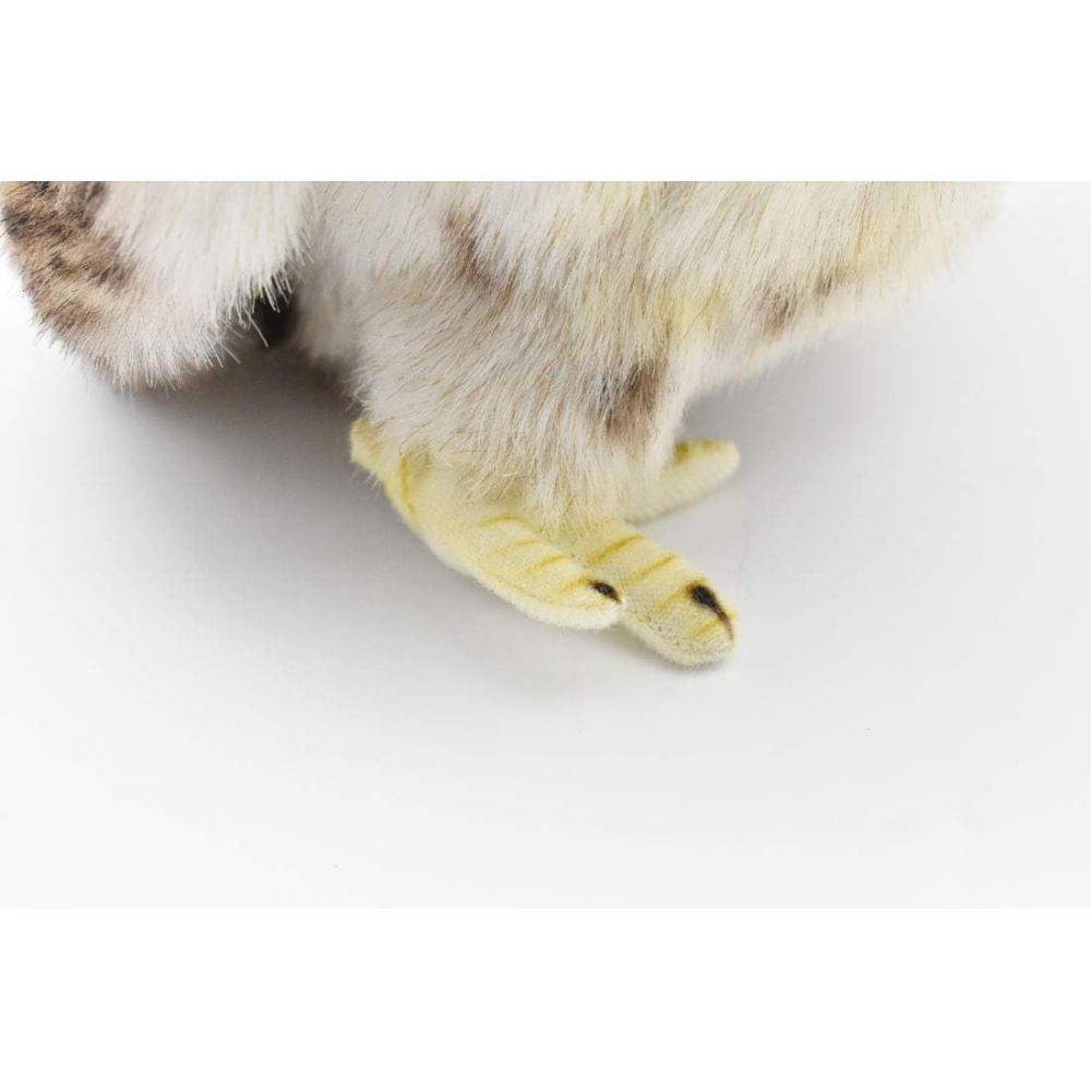 Bh6767 Hansa Shima Owl 26