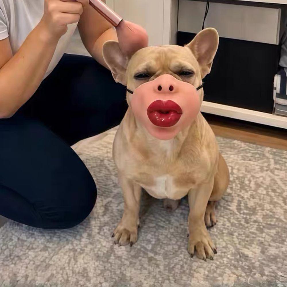 Halloween Christmas Funny Dog Half Face Mask Anti-Scavenge Anti-Bite Dog Photo Mouth Cover Novelty Adjustable Grinning Dog Mask
