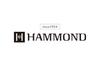 HAMMOND HA-20 Low F 10-hole Harmonica