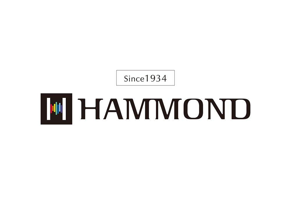 HAMMOND HA-20 Low F 10-hole Harmonica