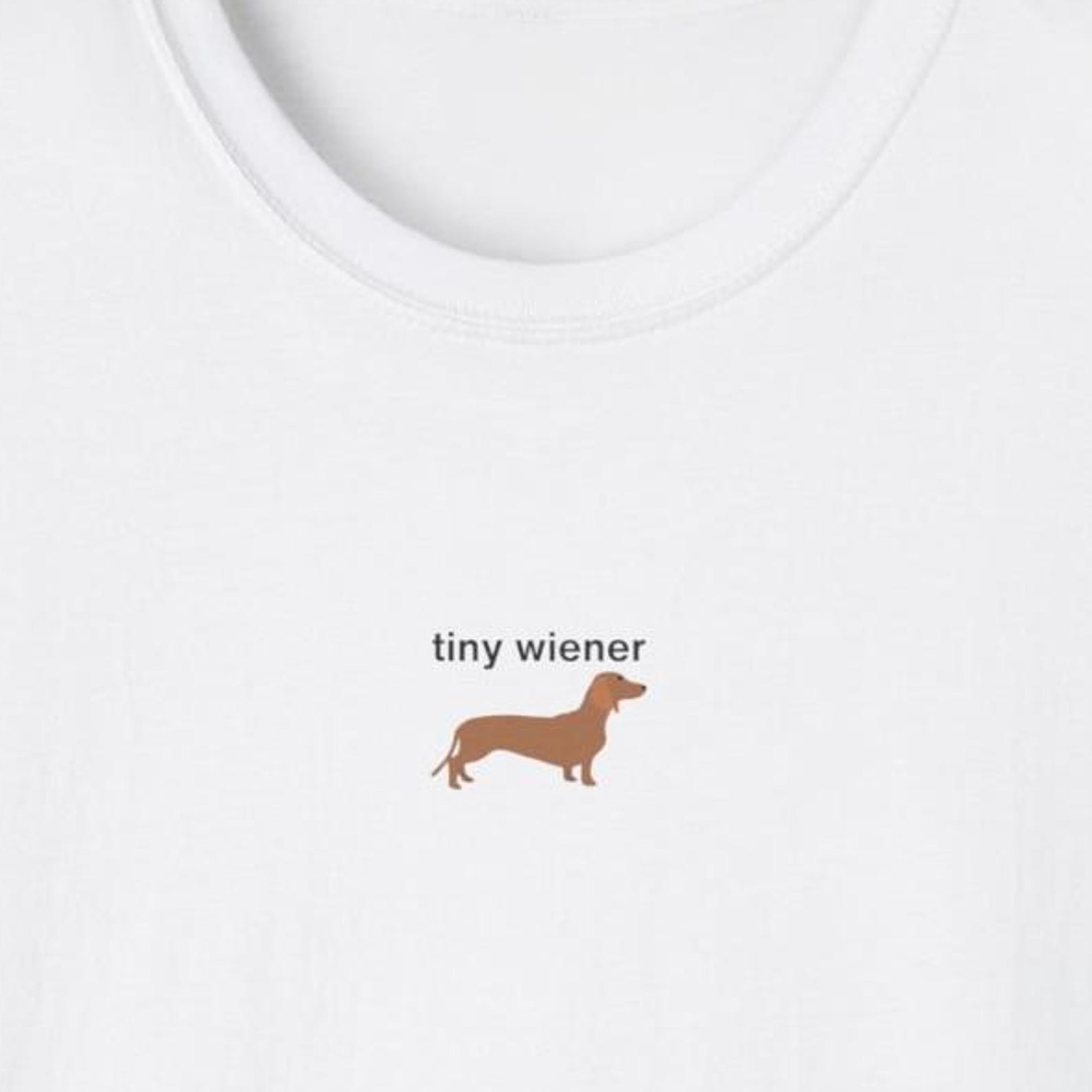 Tiny Wiener Dog Shirt, Dachshund Shirt, Funny Dog Shirt, Gift for Dog Owner, Dog Lover Shirt, Dog Gift, Puppy Shirt, Hot Dog, Sausage Dog XL