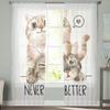 Two Kittens Sheer Window Curtains For Living Room Bedroom Modern Voile Tulle Curtains Fabric Drapes For Kitchen