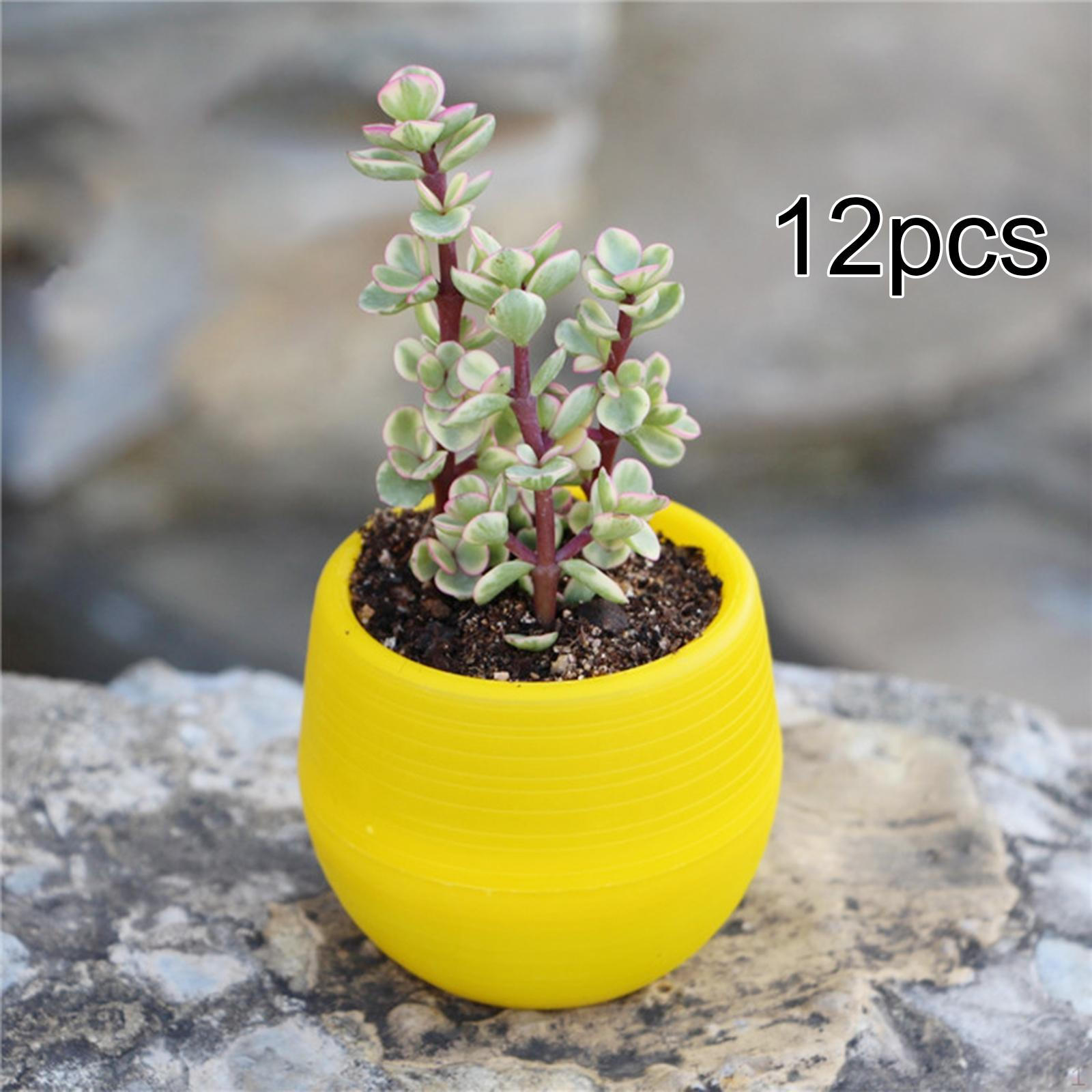 

12 Pieces Small Flower Pots Containers Multifunctional Plant Planters for Indoor Plants Office Yellow