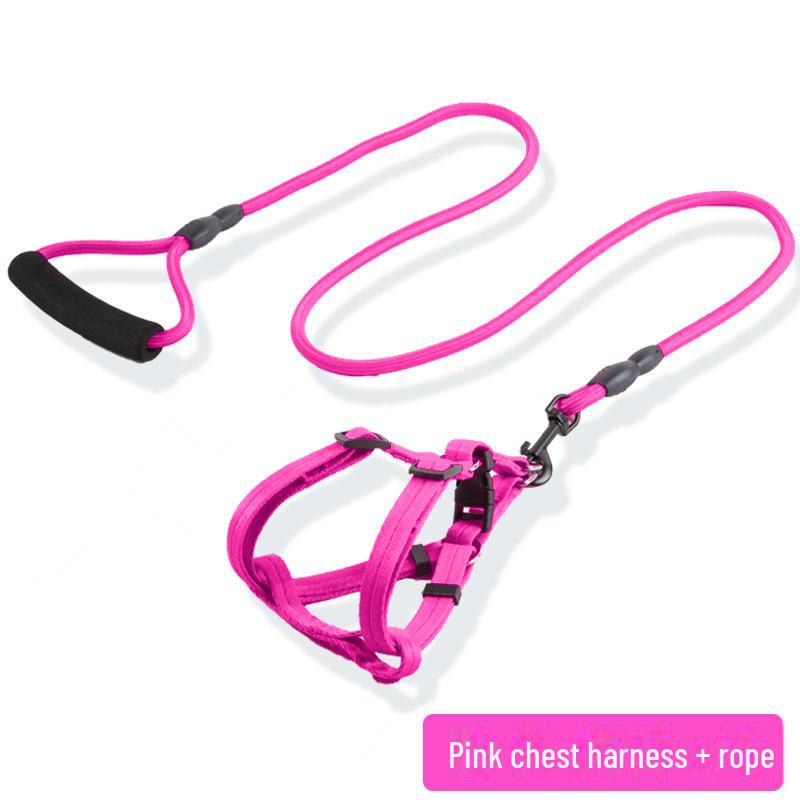 Adjustable Dog Leash and Collar Set for Small, Medium, and Large Dogs - Ideal for Walking Pets like Teddy and Golden Retriever