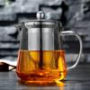 Heat-Resistant Glass Teapot with Stainless Steel Infuser