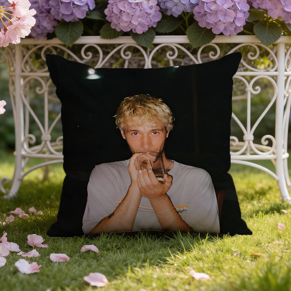 Jeremy singer Z-Zucker Cushion Cover Home & Car Dual-Scene Pillow Cover: Reversible for Premium Comfort