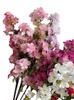 One Silk Artificial Cherry Blossom Branch More Flower Heads 67cm for Wedding Sakura Tree Decoration