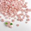 Pink Series Dried Rose Nail Art Accessories Pure Desire Rose Carving DIY Earrings Hair Clips Resin Nail Art Material Kit