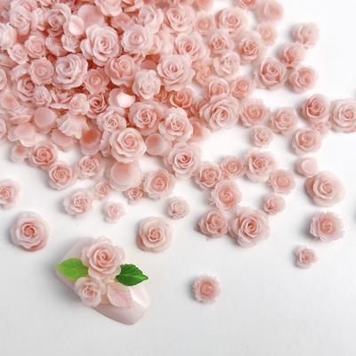 Pink Series Dried Rose Nail Art Accessories Pure Desire Rose Carving DIY Earrings Hair Clips Resin Nail Art Material Kit