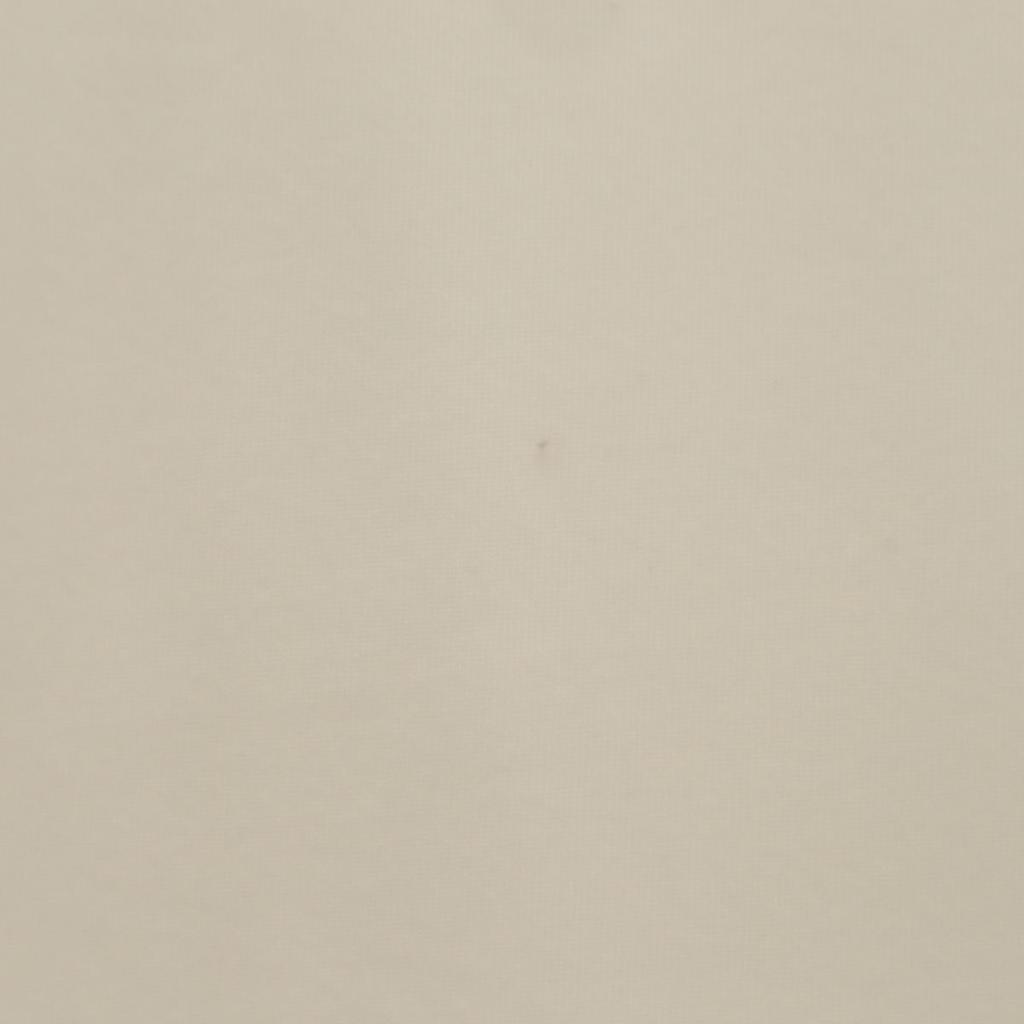 Under Armour Training Short Sleeve T-shirt LG White Women Used